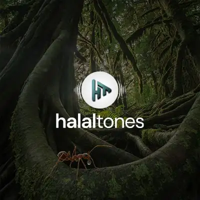 251. Whispers of Faith Vocals