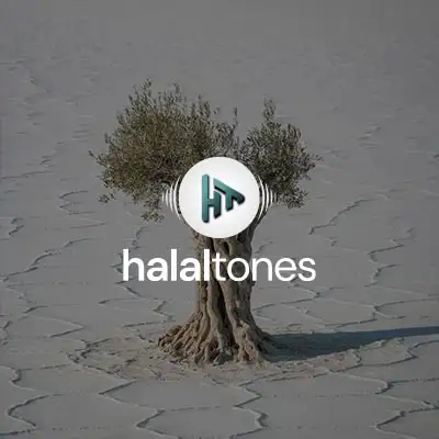 256. Nothing is Over Vocals