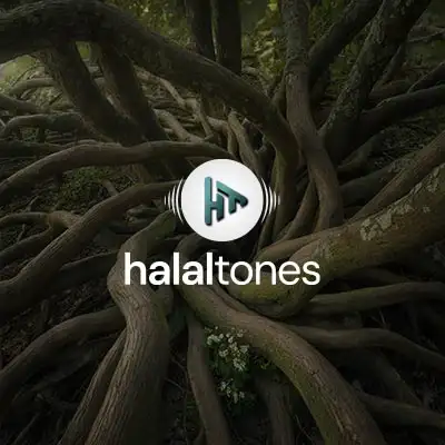 262. When Time Ends Vocals