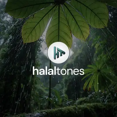 264. Clouds of Barakah Vocals