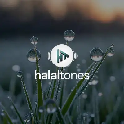 271. The Final Countdown Vocals