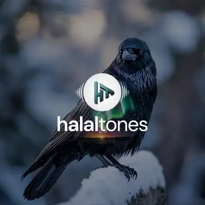 274. My Guide Vocals