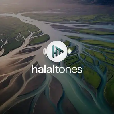 277. Follow Your Dreams Vocals