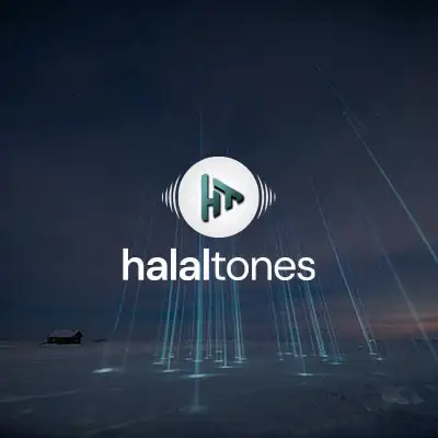 313. Like A Dream Vocals