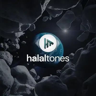 305. You Will Regret Vocals