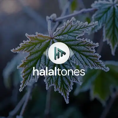 289. Guide Us Lord Acapella